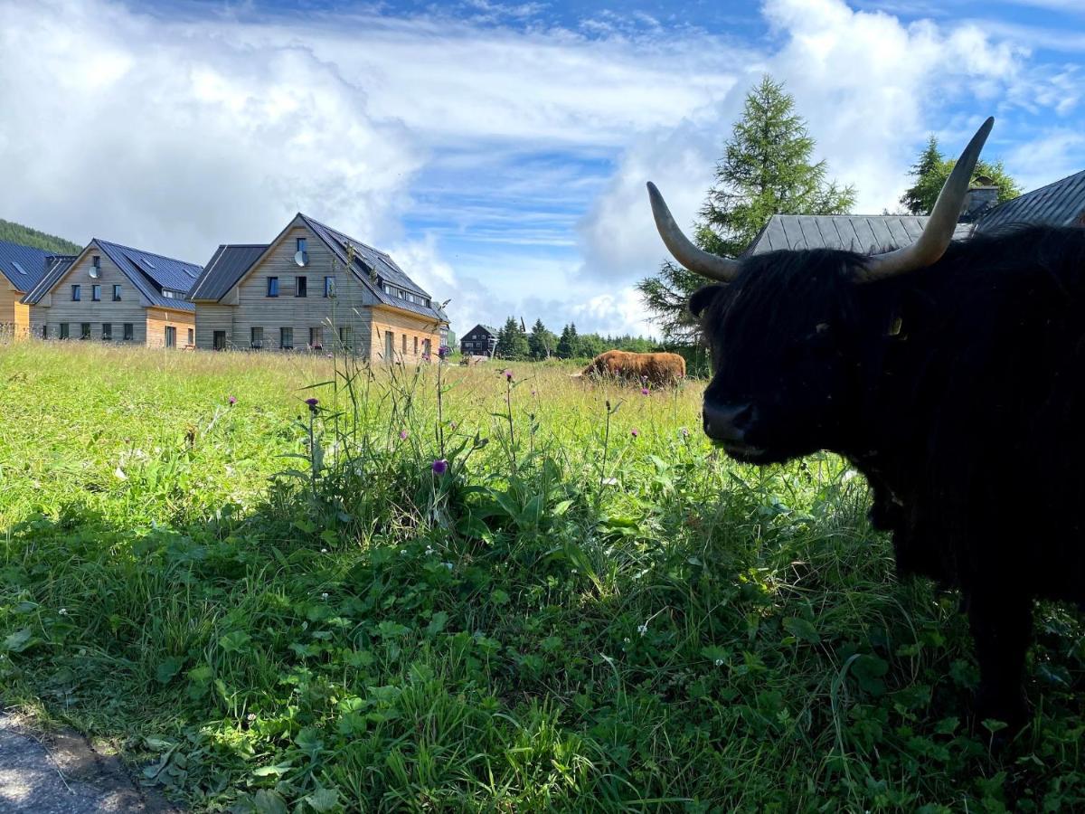 Byt Mala Upa Horní Malá Úpa Exteriör bild